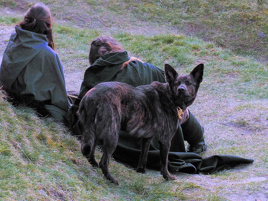 Wikinger auf der Burg Regenstein