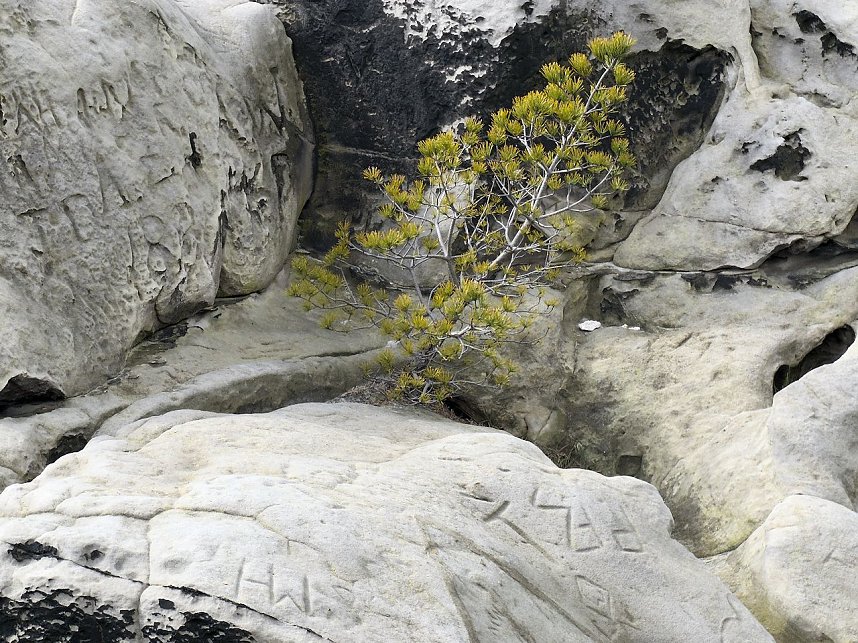 Der Blick nach oben und nach unten