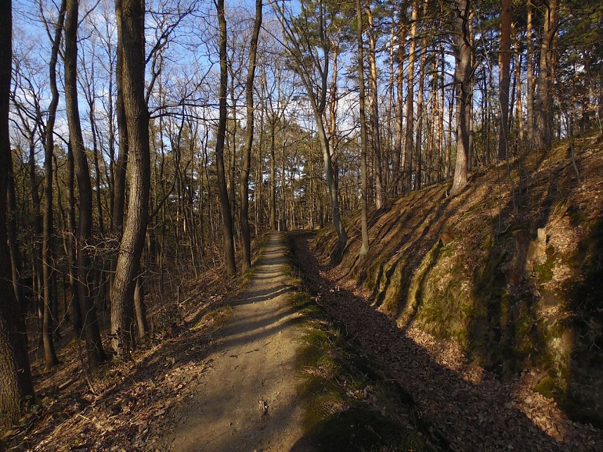 Der Blick nach oben und nach unten