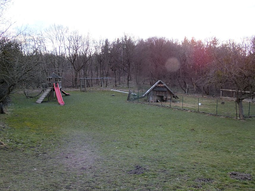 Doppeltes Pech beim Ziegenkopf