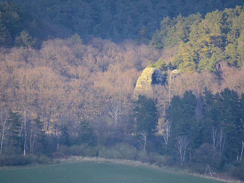Doppeltes Pech beim Ziegenkopf