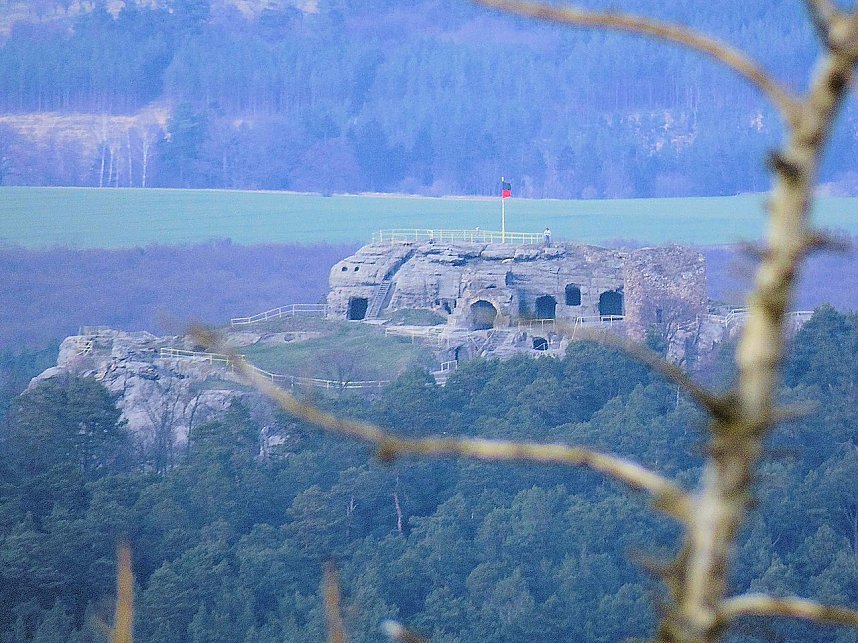 Doppeltes Pech beim Ziegenkopf