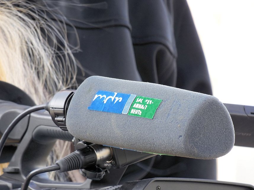 Saisoner&ouml;ffnung im Sangerh&auml;user Rosarium