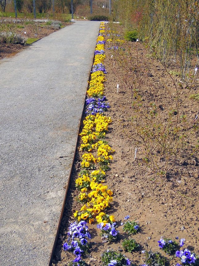 Saisoner&ouml;ffnung im Sangerh&auml;user Rosarium
