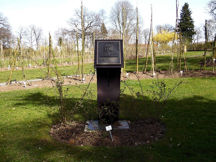 Saisoner&ouml;ffnung im Sangerh&auml;user Rosarium
