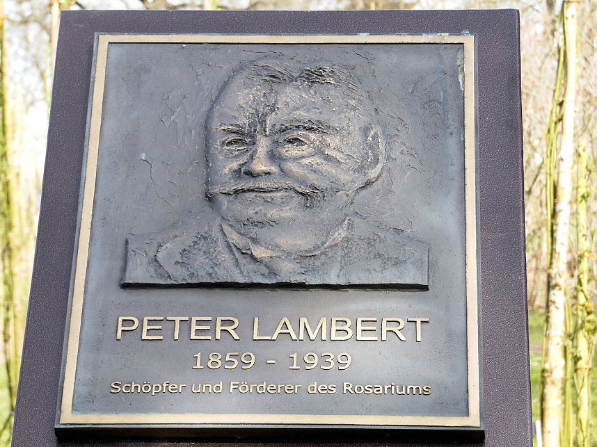 Saisoner&ouml;ffnung im Sangerh&auml;user Rosarium