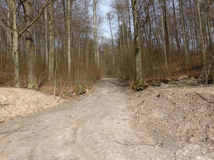 So sieht es im Naturschutzgebiet aus