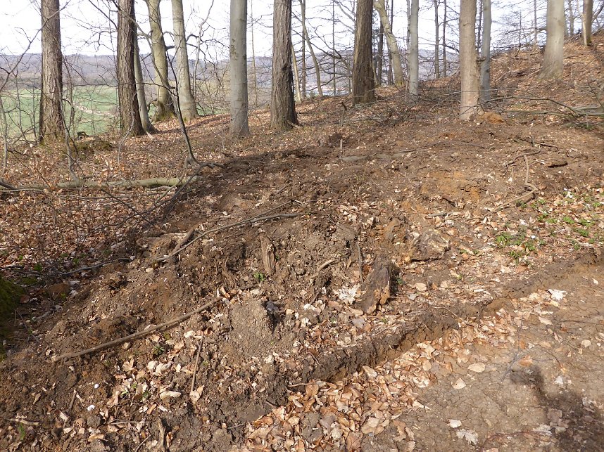 So sieht es im Naturschutzgebiet aus