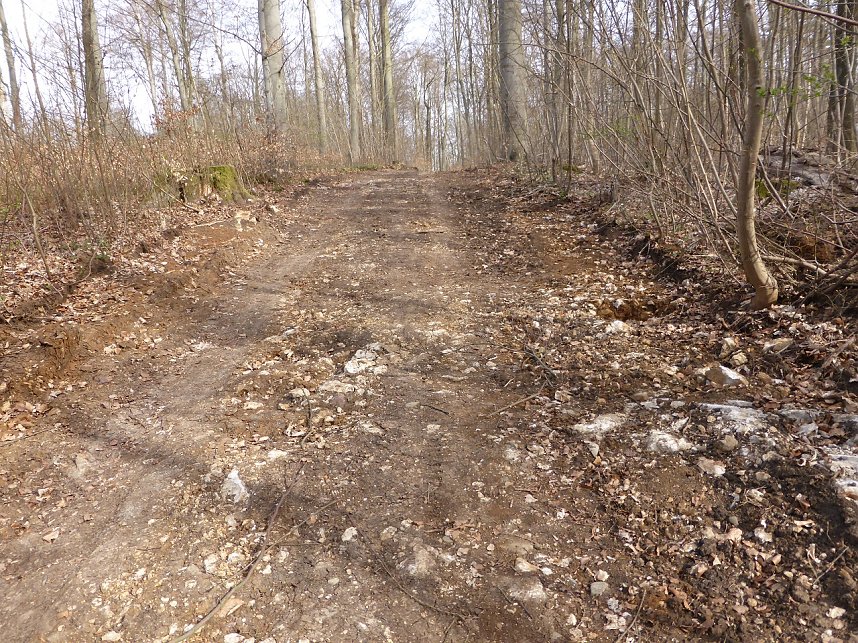 So sieht es im Naturschutzgebiet aus