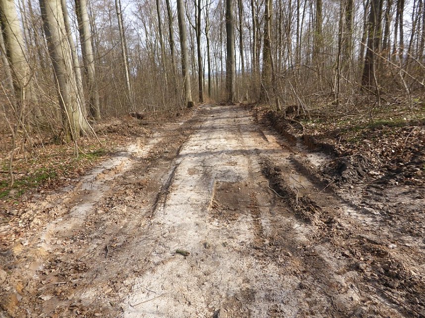 So sieht es im Naturschutzgebiet aus