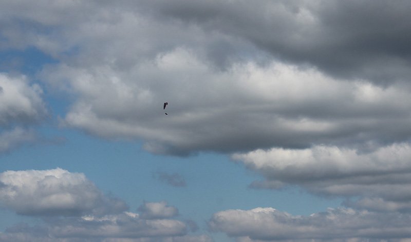 Geduld f&uuml;rs Gleitschirmfliegen
