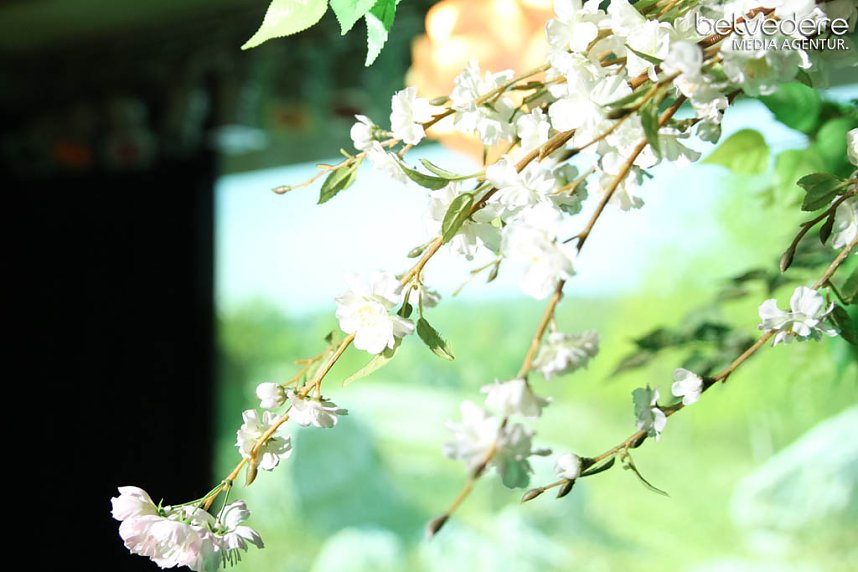 Pure Nature Party - im Nordh&auml;user Clubhaus wurden f&uuml;r einen guten Zweck getanzt