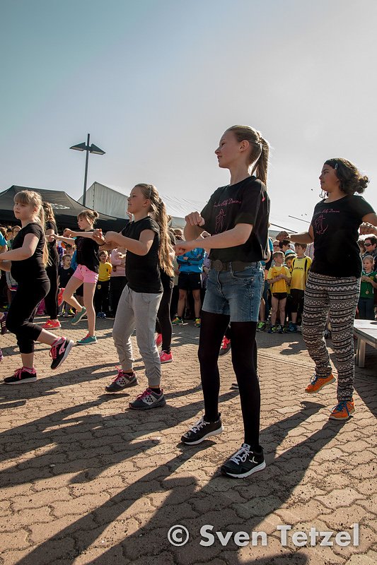 Voller Erfolg - 2. Harztor-Lauf