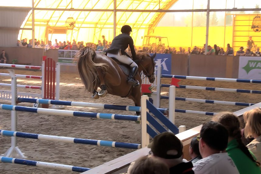 5. Hoffest und Reitturnier in Wollersleben