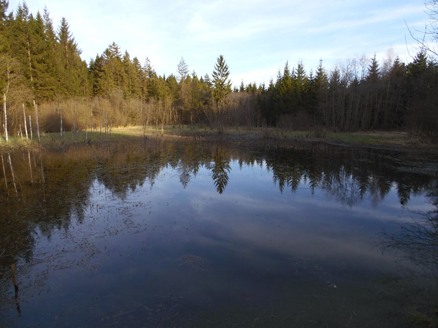 Moore, Hexen und Harz