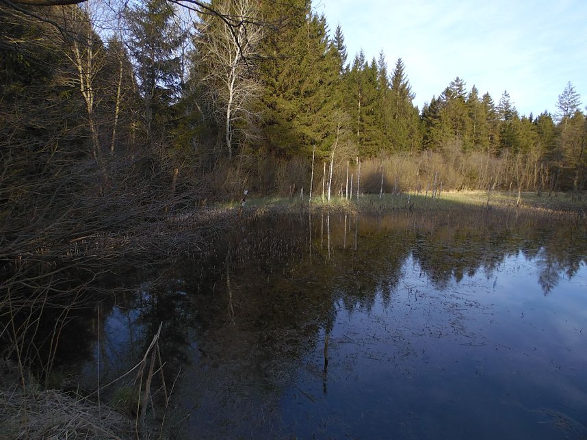 Moore, Hexen und Harz