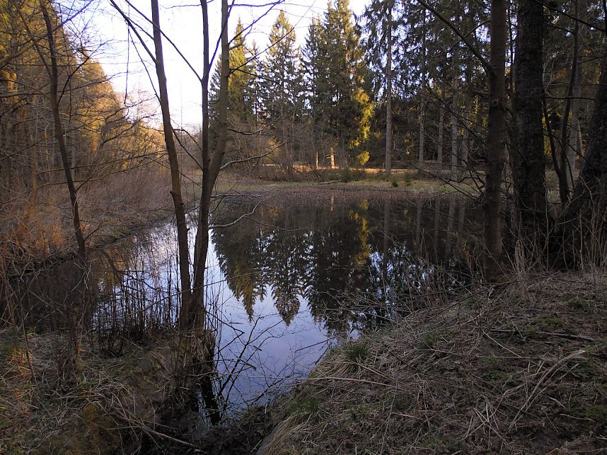 Moore, Hexen und Harz