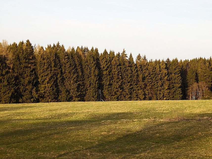 Moore, Hexen und Harz