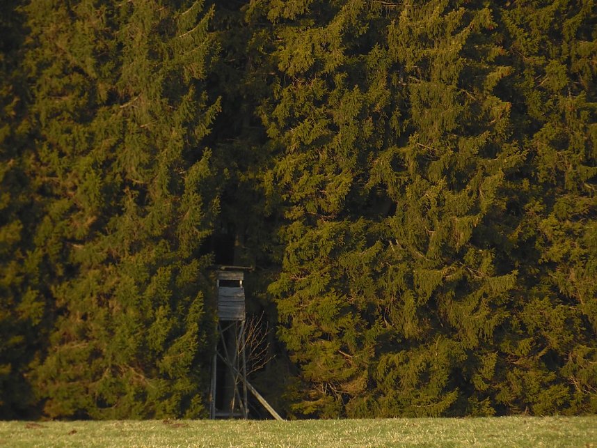 Moore, Hexen und Harz