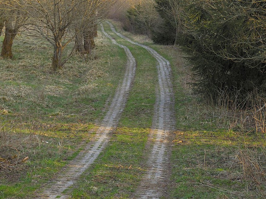 Moore, Hexen und Harz