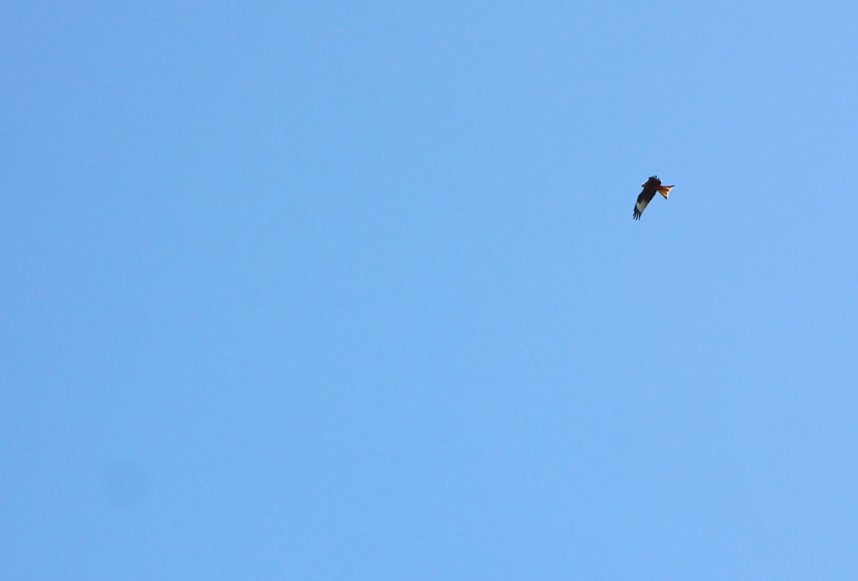 An der Salza kann man wieder spazieren