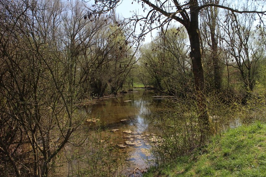 An der Salza kann man wieder spazieren