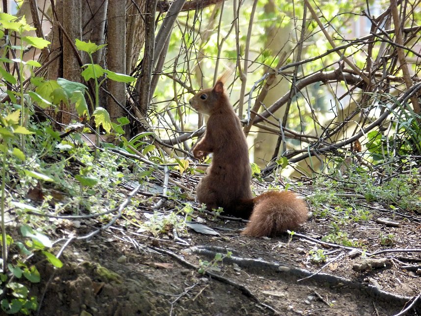 Auf Erkundung an der Stadtmauer
