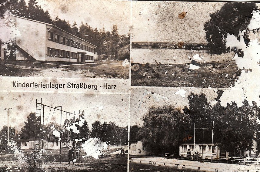 Der Treue Nachbarteich - die h&auml;ssliche Seite