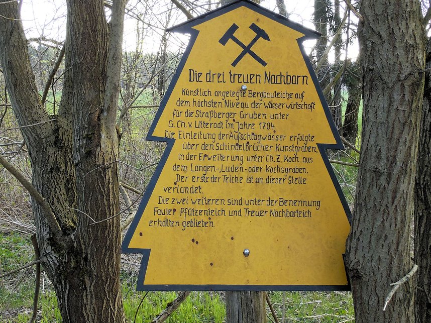 Der Treue Nachbarteich - die h&auml;ssliche Seite