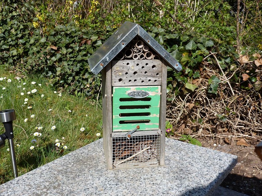 H&auml;user f&uuml;r V&ouml;gel