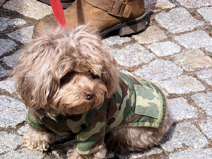 Der 1. Mai in Nordhausen - ein Nachtrag