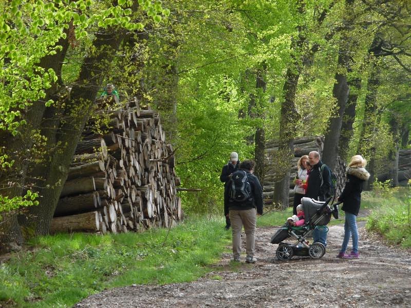 Nordh&auml;user Doppelk&ouml;rner wanderten