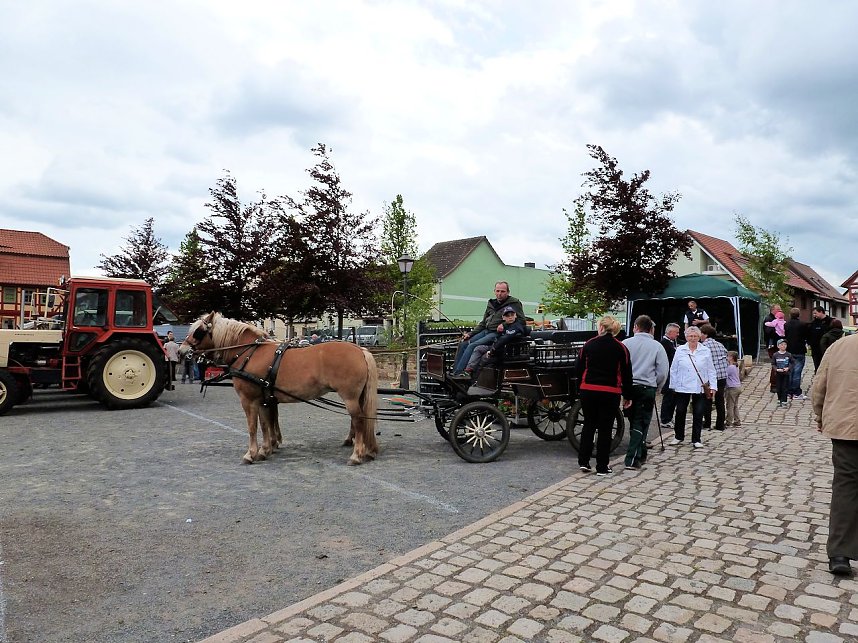 Die achte Auflage in Heringen