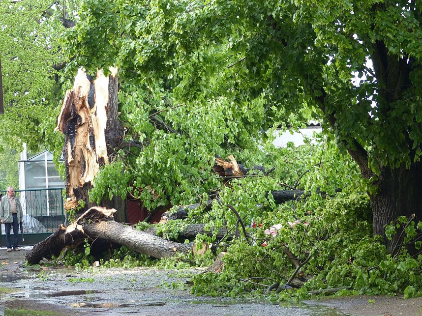 Drei Autos "begraben"