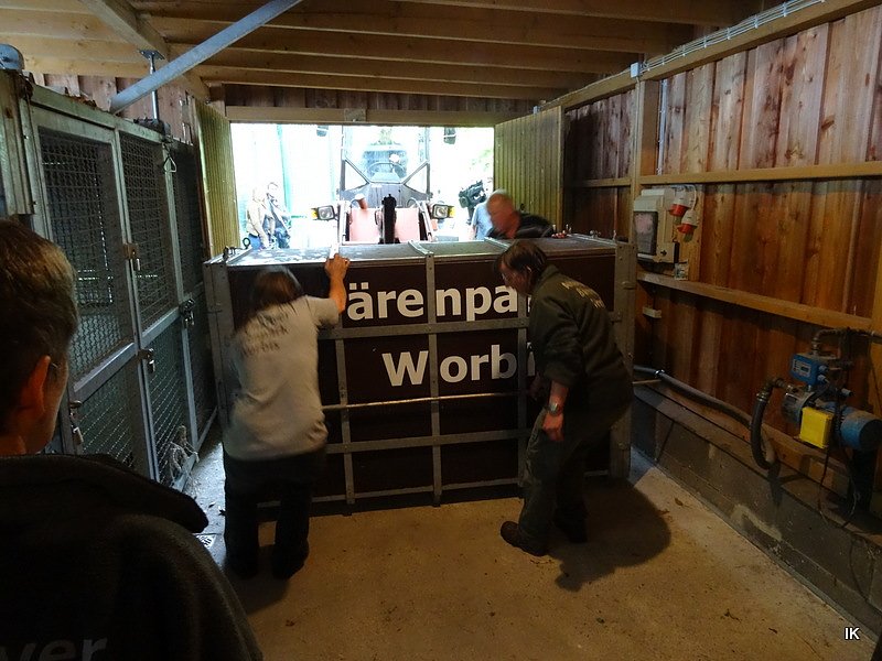 B&auml;rin Conny zieht nach Worbis