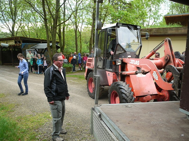 B&auml;rin Conny zieht nach Worbis