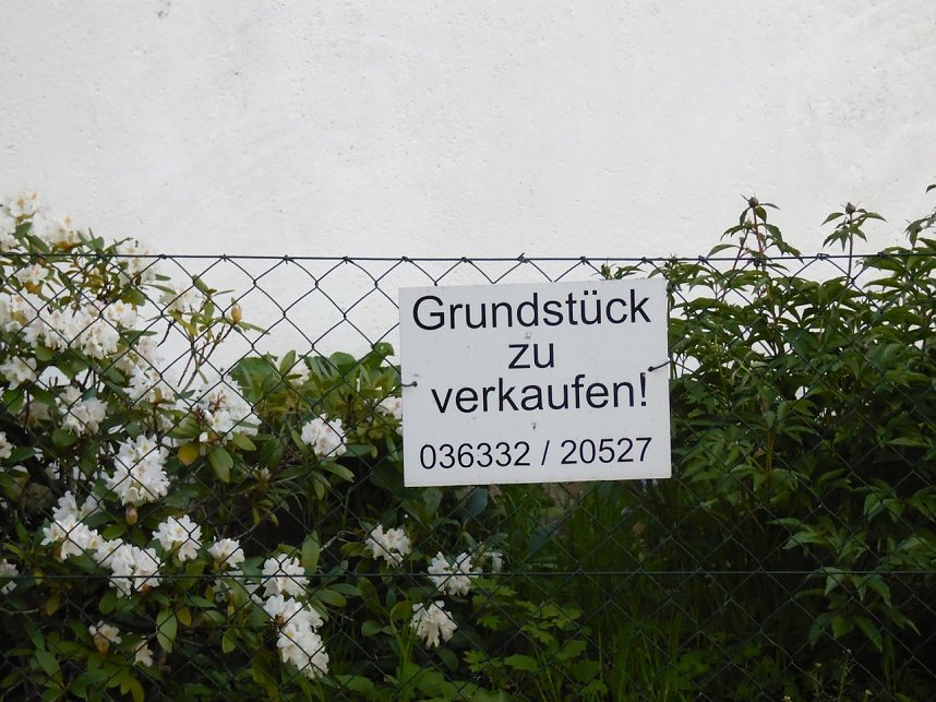 Zu Besuch in Steinsee