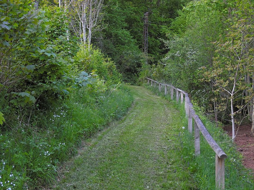 Zu Besuch in Steinsee