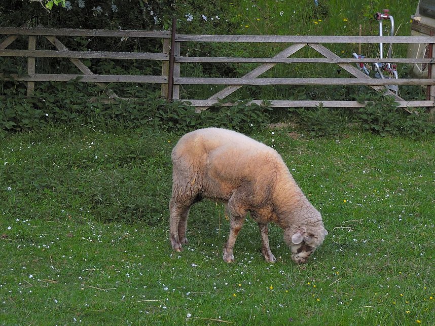 Zu Besuch in Steinsee