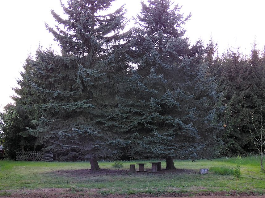 Zu Besuch in Steinsee