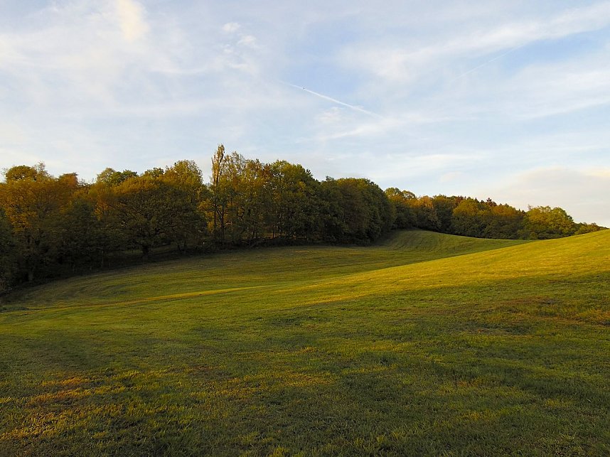 Zu Besuch in Steinsee