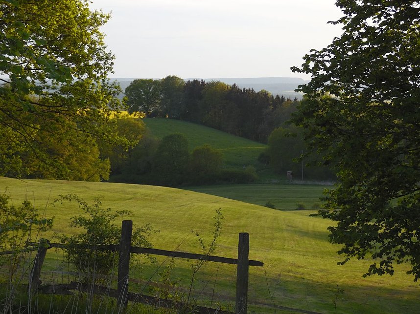 Zu Besuch in Steinsee