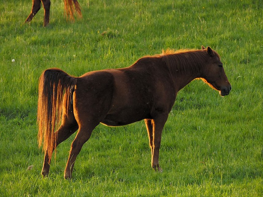 Zu Besuch in Steinsee