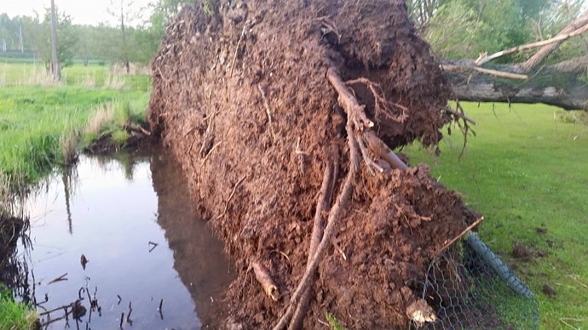 Unwetterspuren in Obergebra