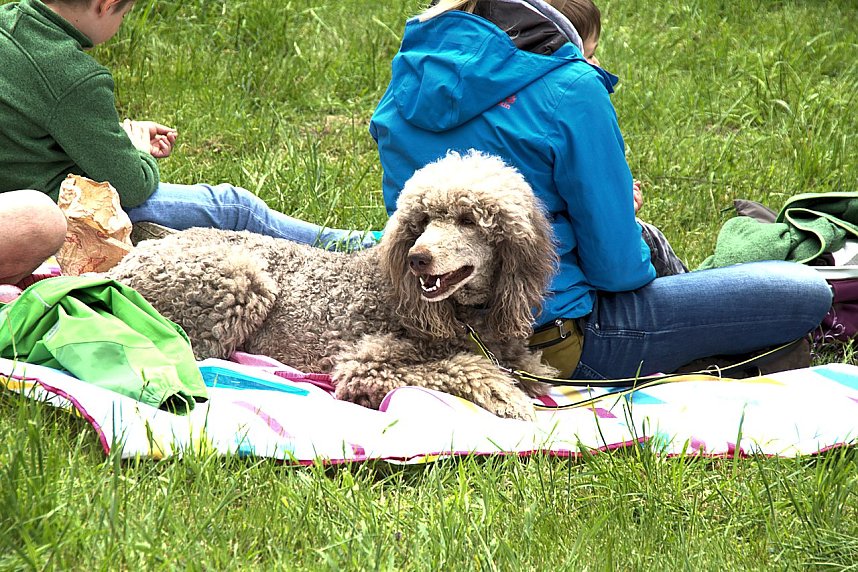 M&auml;rchenpicknick in Hohenrode