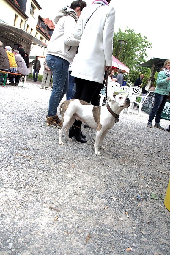 Drittes Nordh&auml;user Weinfest, zweiter Tag