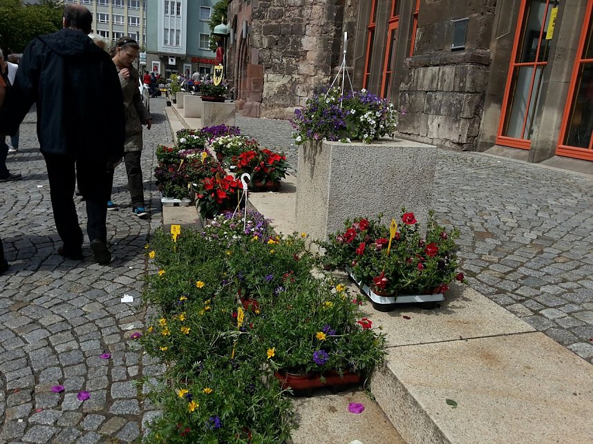 Geranien - und Blumenmarkt auf dem Nordh&auml;user Rathausplatz