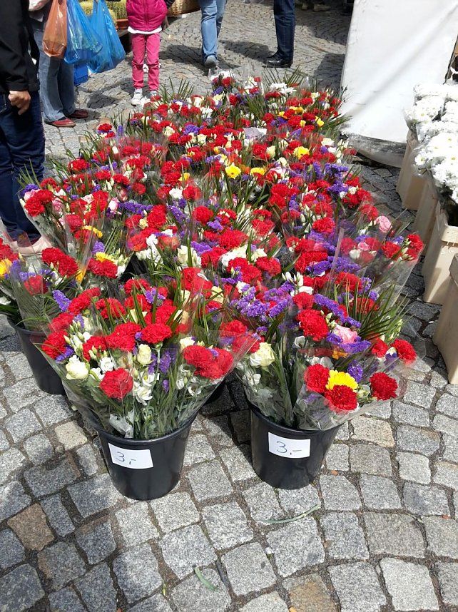 Geranien - und Blumenmarkt auf dem Nordh&auml;user Rathausplatz