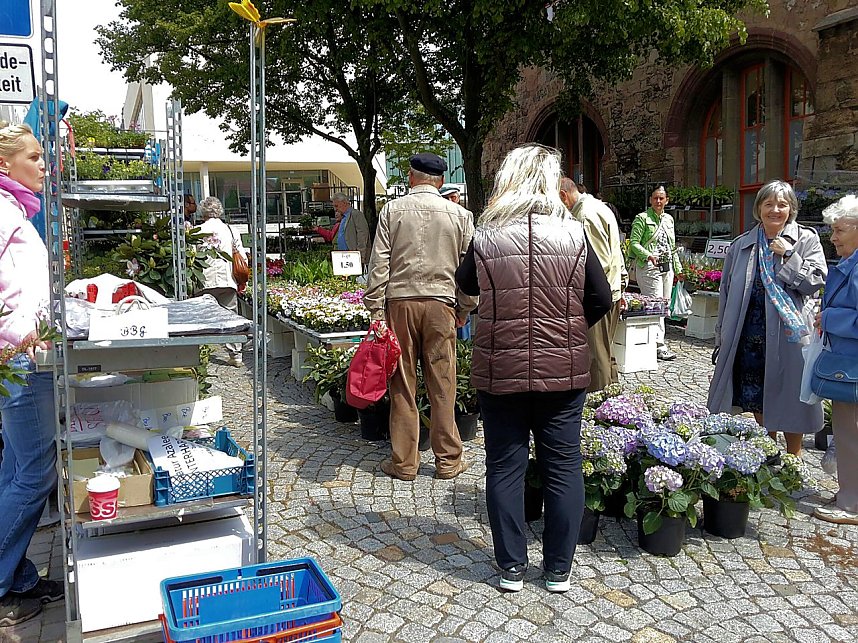 Geranien - und Blumenmarkt auf dem Nordh&auml;user Rathausplatz