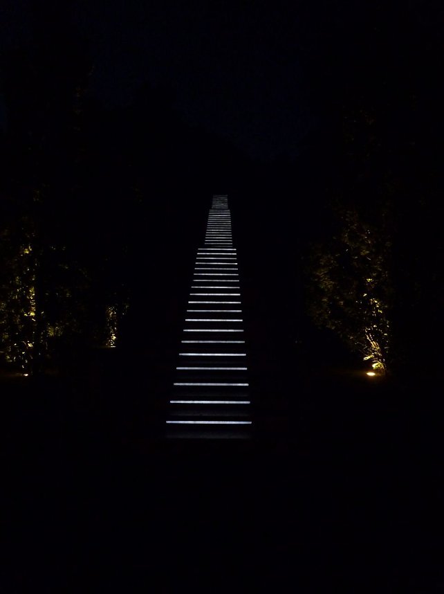 Bl&uuml;tenpracht in der Nordh&auml;user Nacht